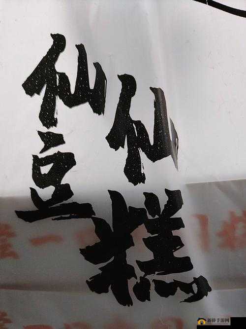 被撩后姜先生每晚都缠着我：他的热情让我难以招架