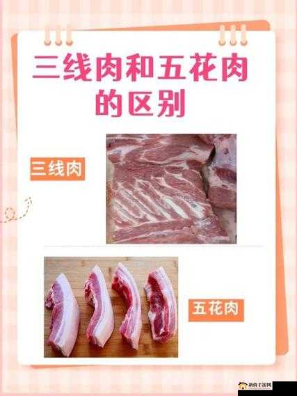 精品一区、二线、三线的区别究竟在哪里？