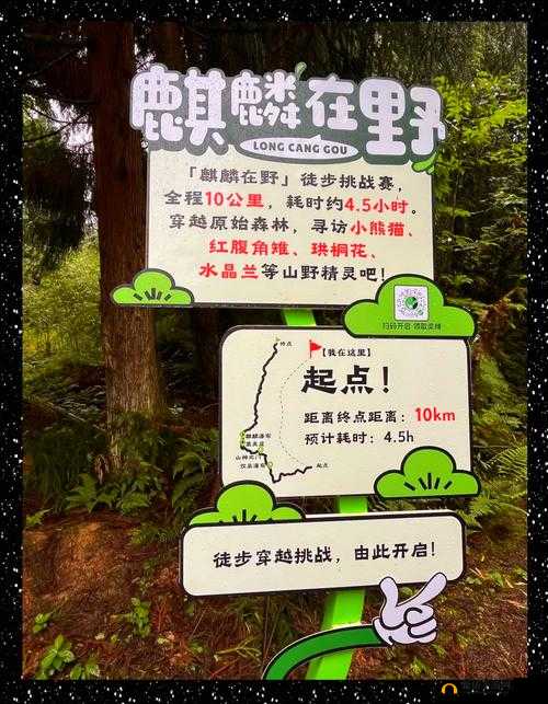 秘密通道 XYZ ：隐藏在未知深处的神秘路径探索之旅