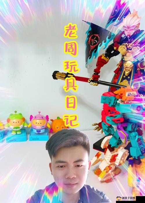 老周的玩具日记 txt ：记录奇妙玩具世界点滴