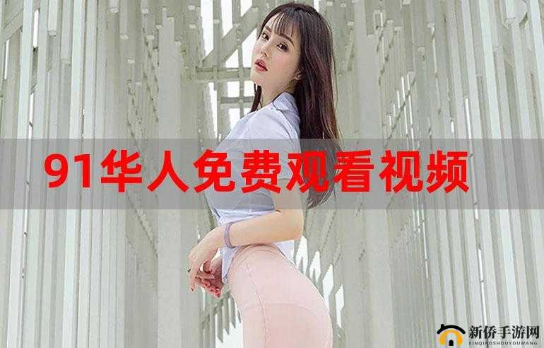 91 下载安装：详细步骤与注意事项全解析