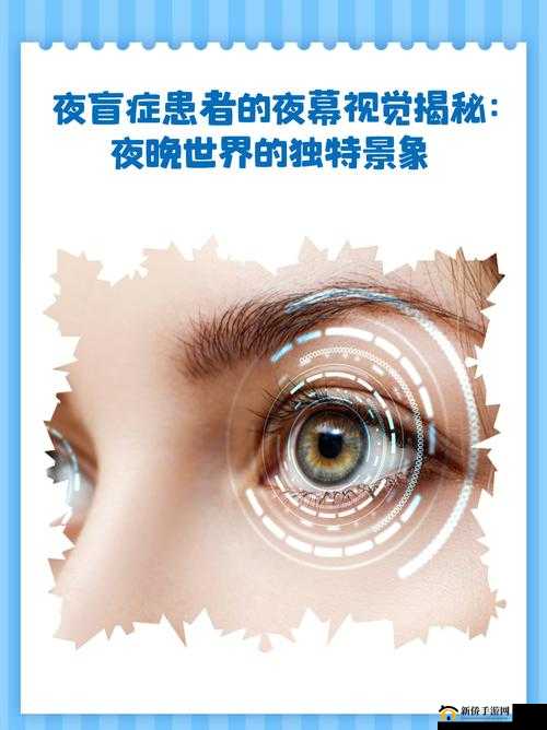 www6988 成人 A 片：探寻刺激与禁忌的独特世界