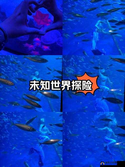 自由触摸游戏：开启奇幻冒险之旅探索未知世界