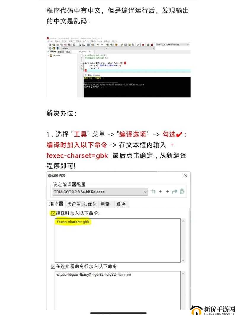 中文字幕在线看成电影乱码：探寻背后的技术难题与解决之道