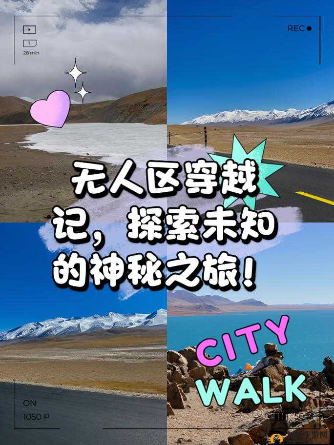 无人区一码二码三码 4 码区：探索神秘未知的独特领域