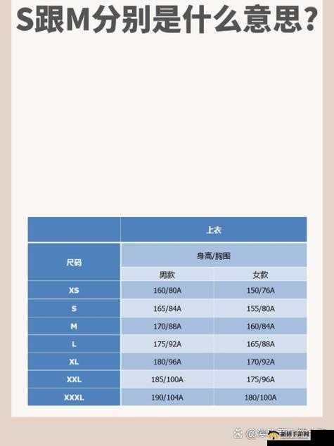 欧洲 S 码尺寸范围与亚洲 M 码尺寸范围对比分析及相关探讨