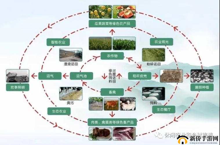 人与畜禽corporation的发展：探索其未来可持续性与多元化路径