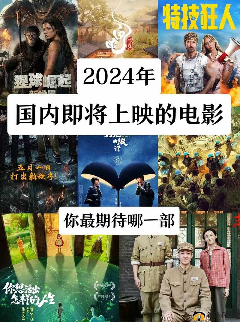 2024 国产精品视频：展现独特魅力与精彩内容的视觉盛宴