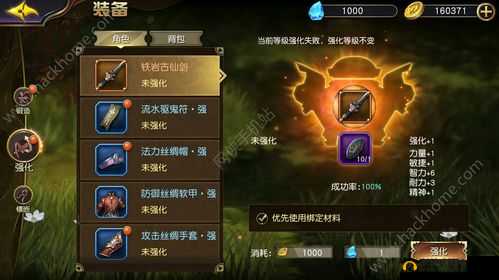 太极熊猫3猎龙，故地重游副本高效打法技巧与策略全面解析