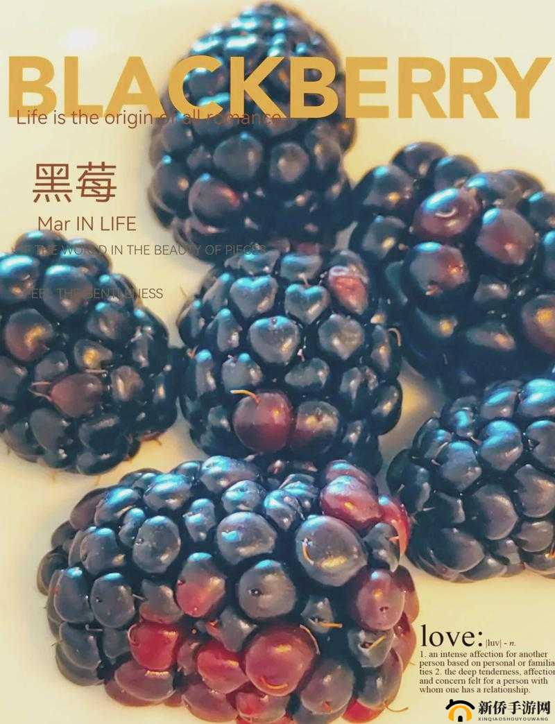 详解奶块游戏中黑莓籽的获取途径及其播种方法与技巧