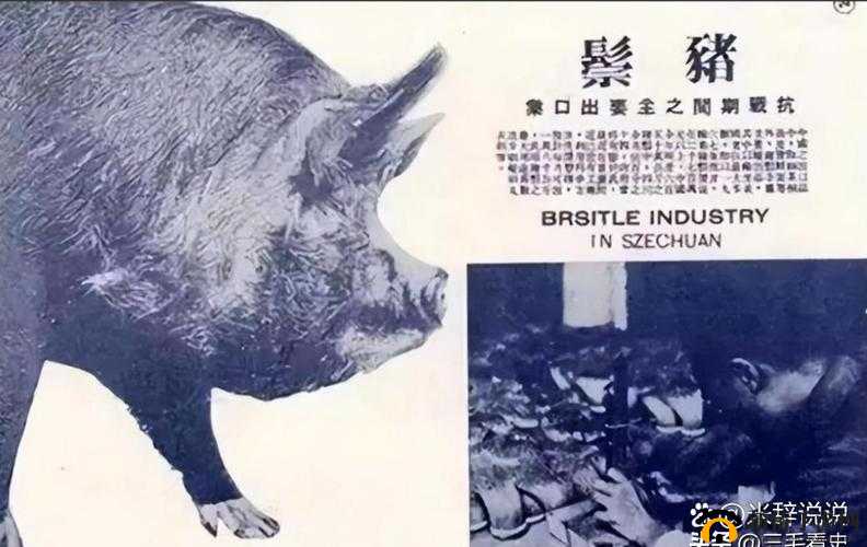 人马畜禽 CORPORATION 猪：开启畜牧业新纪元