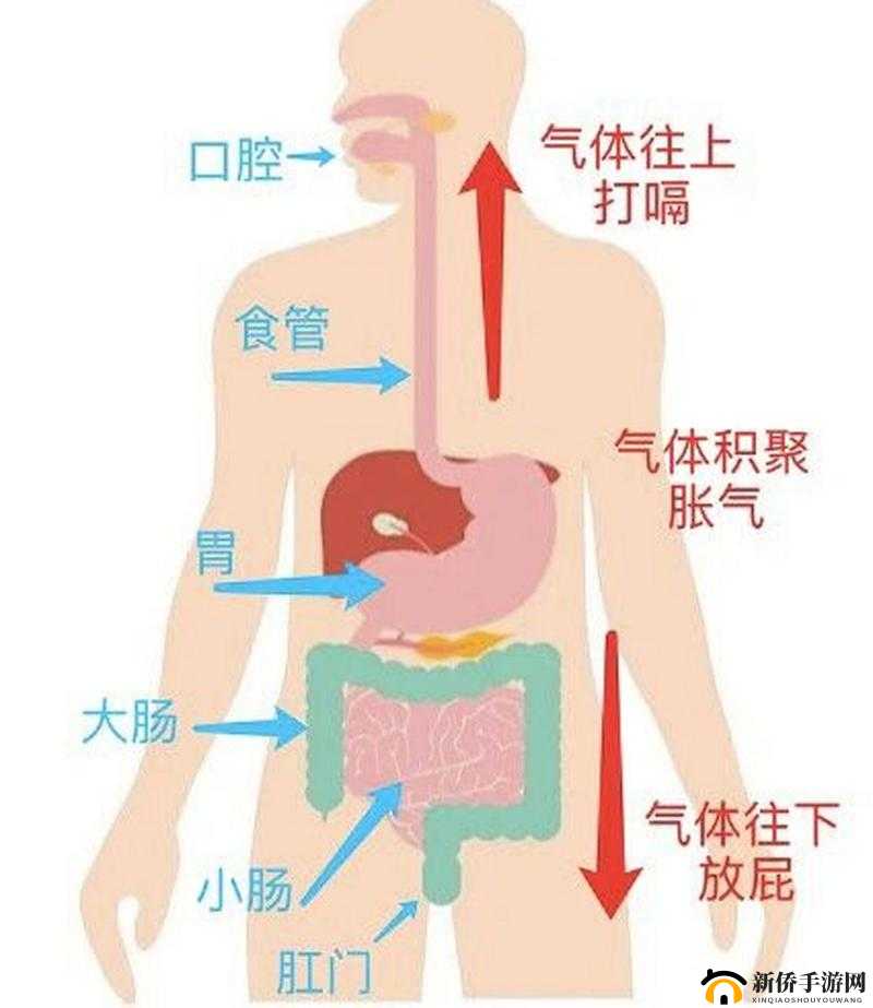 探秘 14MAY18XXXXXL 放屁：一场奇特的气体之旅