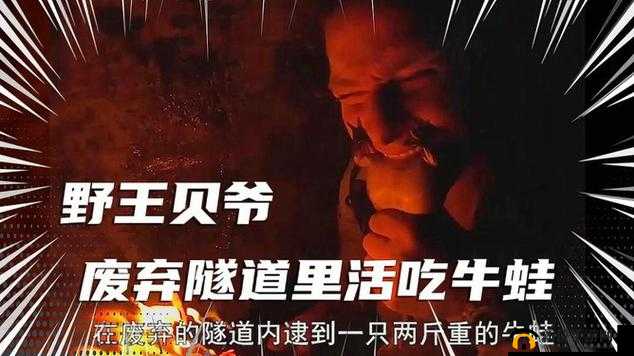 糙汉表哥深山打野鸡，讲述荒野求生秘诀