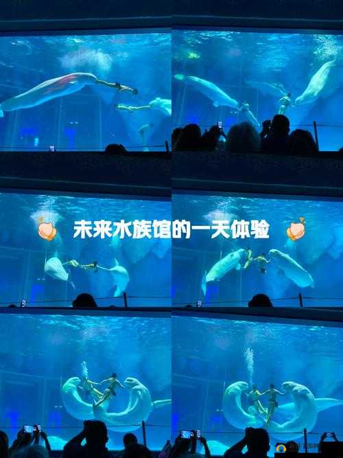 爽 躁多水 快 深点明日见未来：激情探索未知的奇妙之旅
