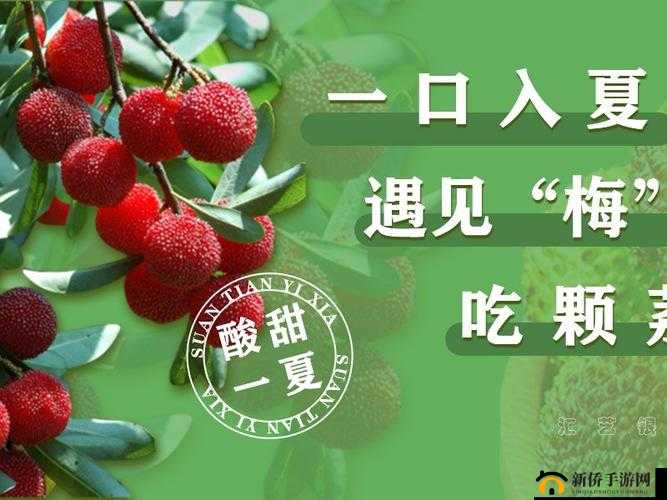荔枝视频在线观看免费完整：海量精彩视频等你来畅享