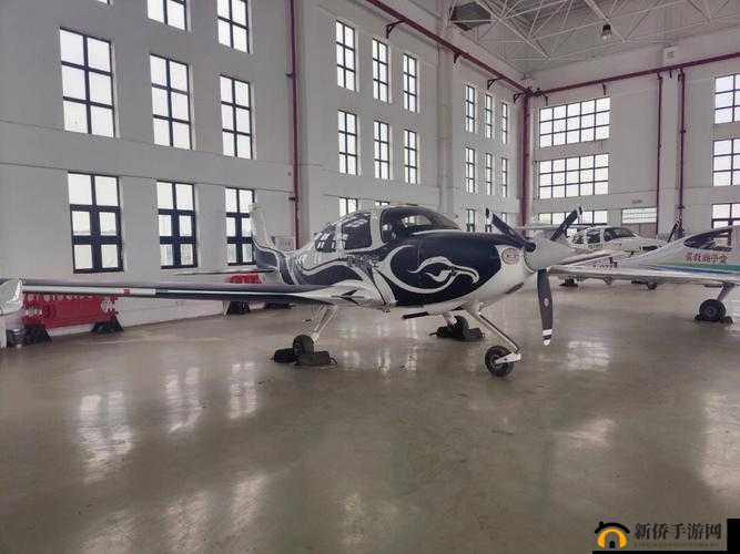私人航空 2 满天星：畅享极致飞行体验