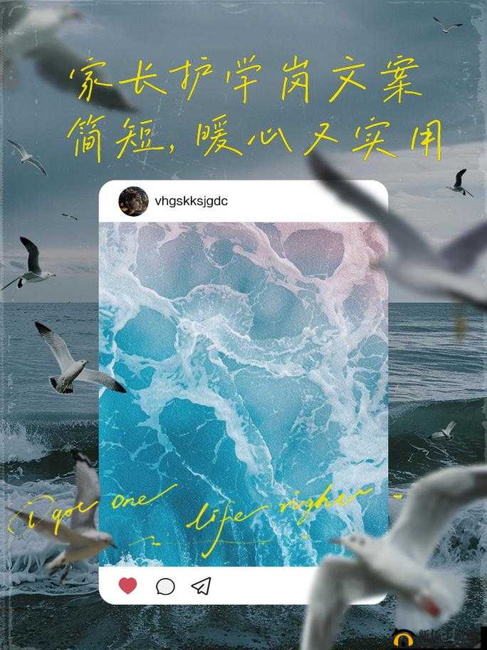 女儿给船上爸爸上船的背景故事之爱的传递与坚守