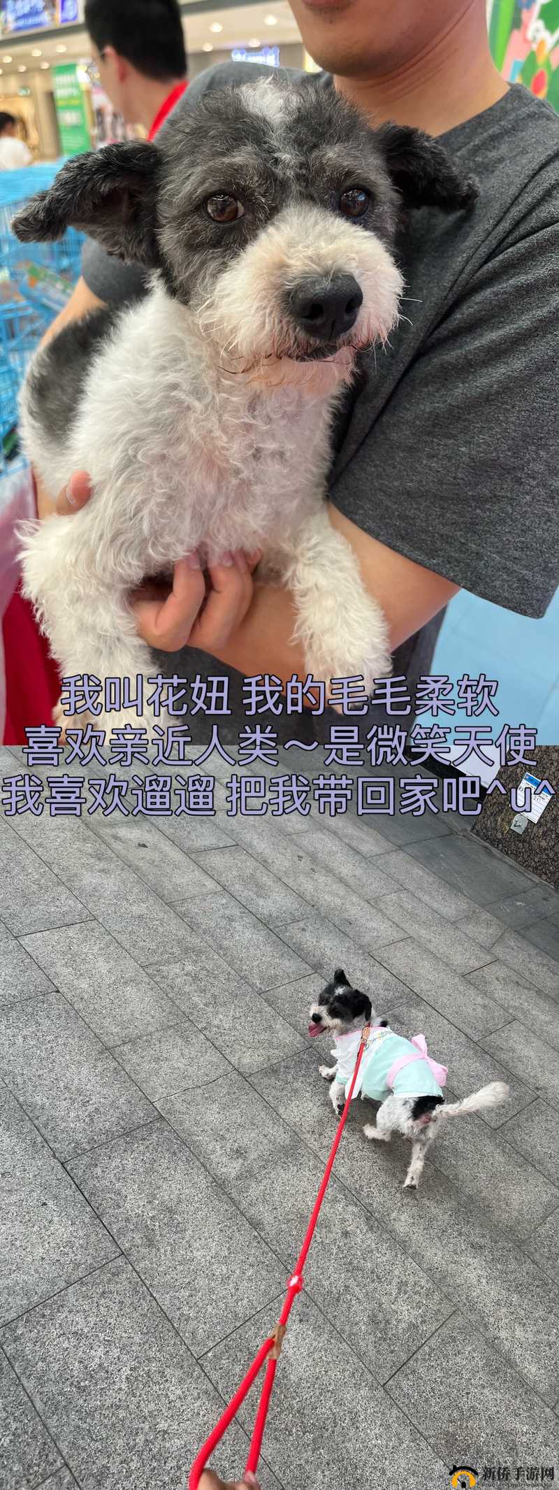 a 液液酱 aaa 是我心中最可爱的存在