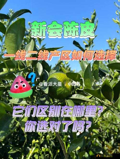 亚洲一线产区二线产区区：关于其独特性与重要性的深入探讨