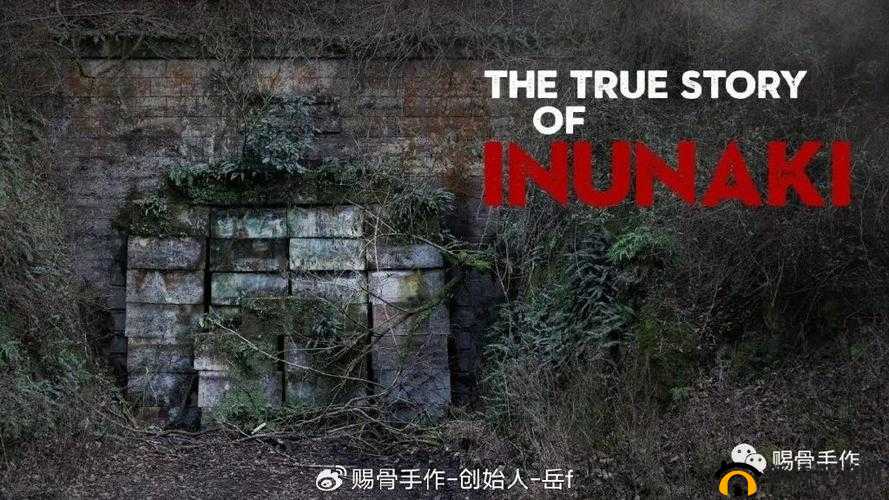 午夜惊魂：都市传说背后的禁忌故事