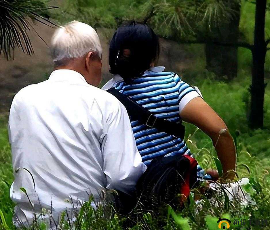 70 岁老人竟在森林进行 10 元一次的交易