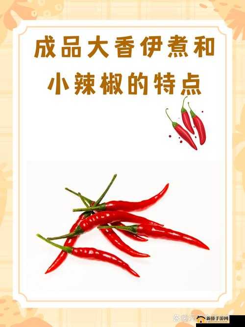 成品大香伊煮与小辣椒的精彩故事呈现