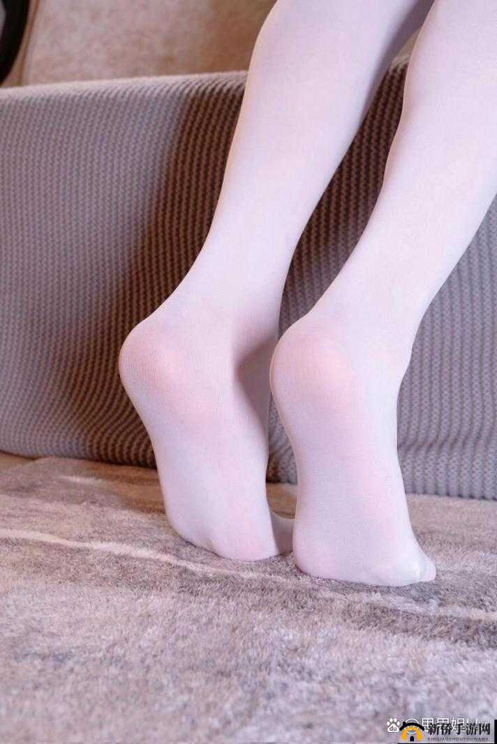 后入白丝的独特魅力与精彩呈现