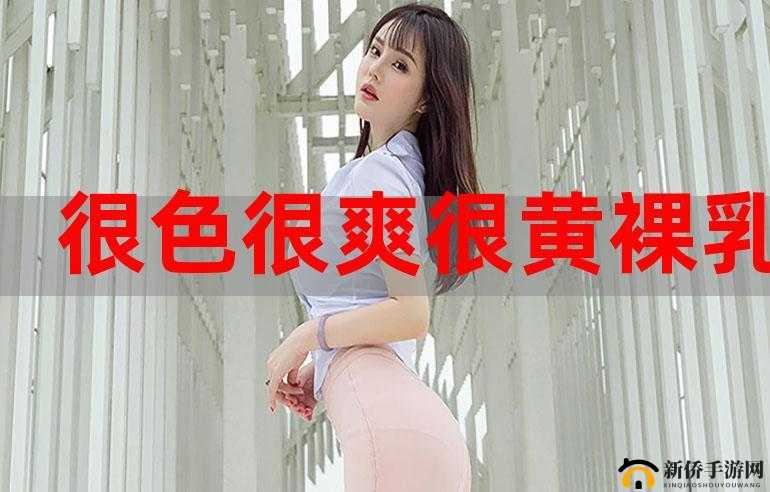 91 九色视频在线观看：成人内容，精彩无限