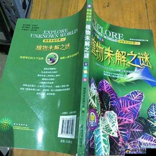 大伊波香蕉网：探索未知的世界