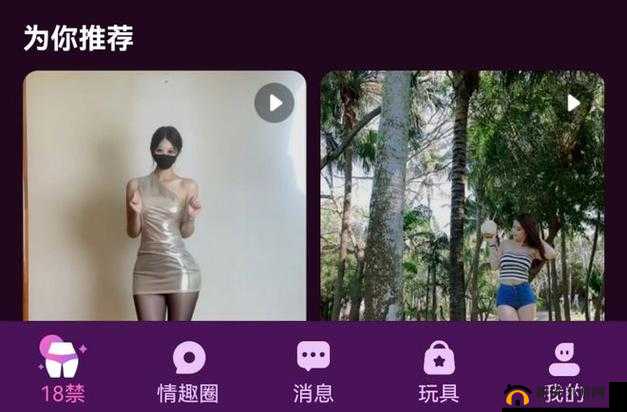 18 成人网站：成年人的私密乐园，你懂的