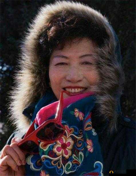 肥熟老妇 500 部：丰富的情感故事和人生百态