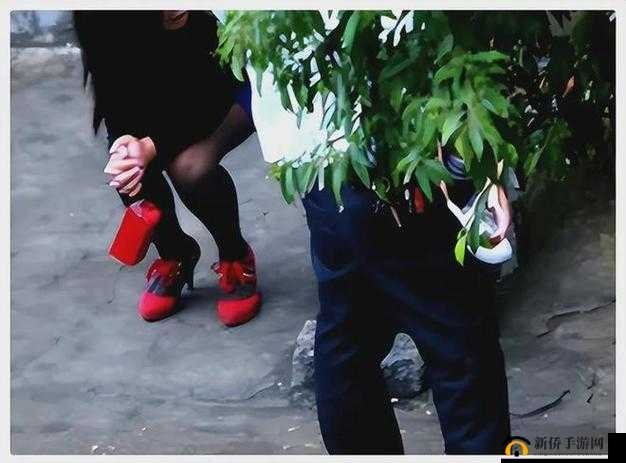 公园小树中老年交易图片：揭示不为人知的交易内幕