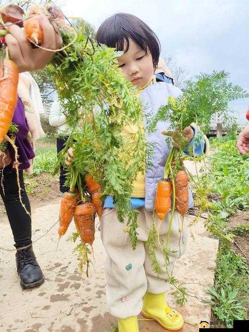 女孩子怎么体验拔萝卜的感觉：趣味探索与独特经历分享