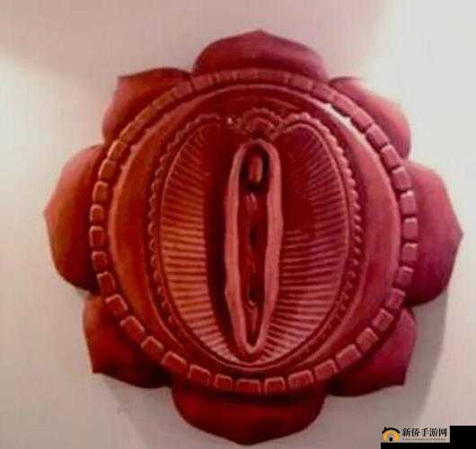 肉莲花吸入金刚杵会怎么样没有任何会员特权：深度剖析与探究