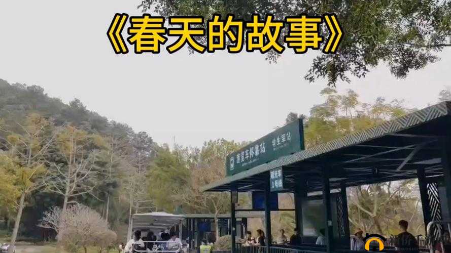 老杨头的春天第一章：老杨头在春天里的故事开篇