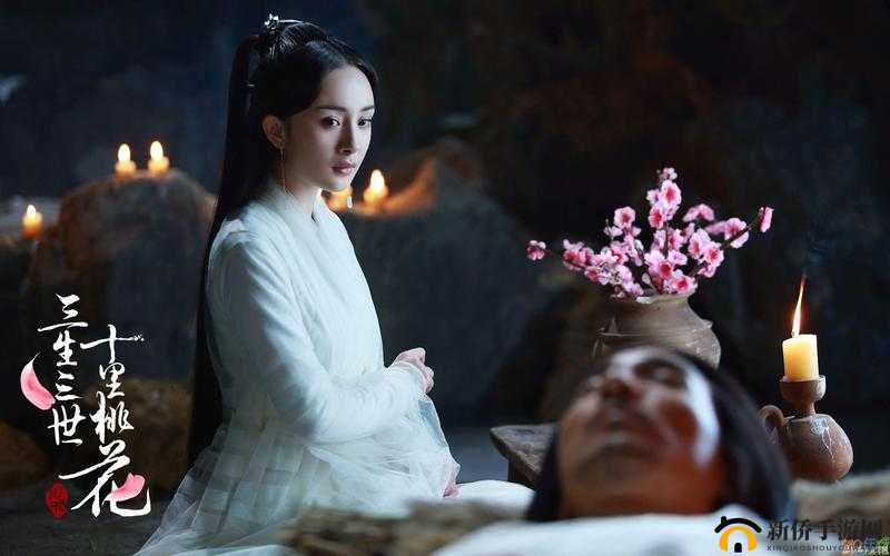 三生三世十里桃花历练系统深度解析，上神养成路径中的资源管理重要性与实战策略