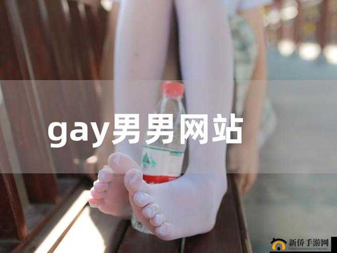 男同志 gy www.网站：探索同志世界的精彩与多元