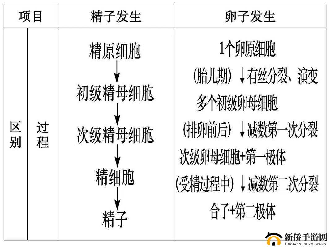 授精记录 1 至 21 章节内容概括-关于授精过程的详细描述与分析