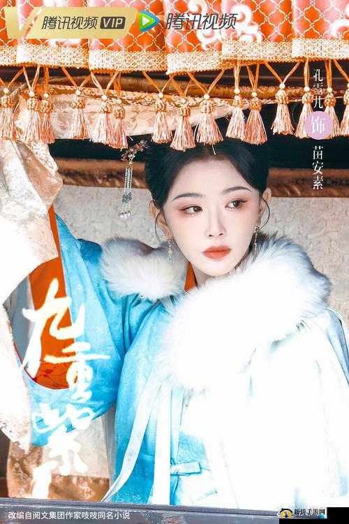 九重紫孟子义电视剧免费观看：高清画质，畅享精彩剧情