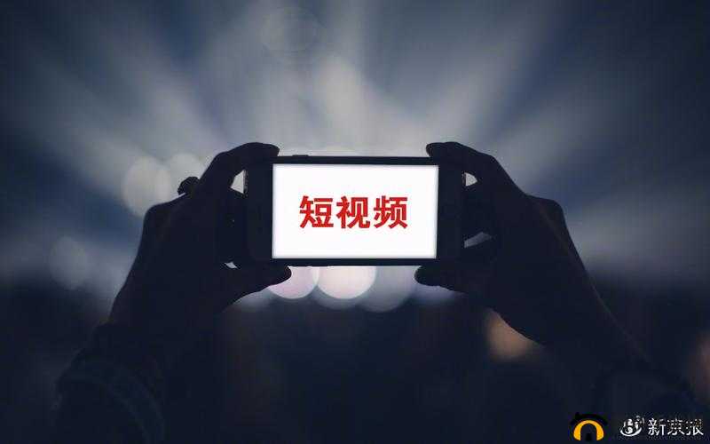 YY4480：带你领略精彩的视听盛宴与独特体验