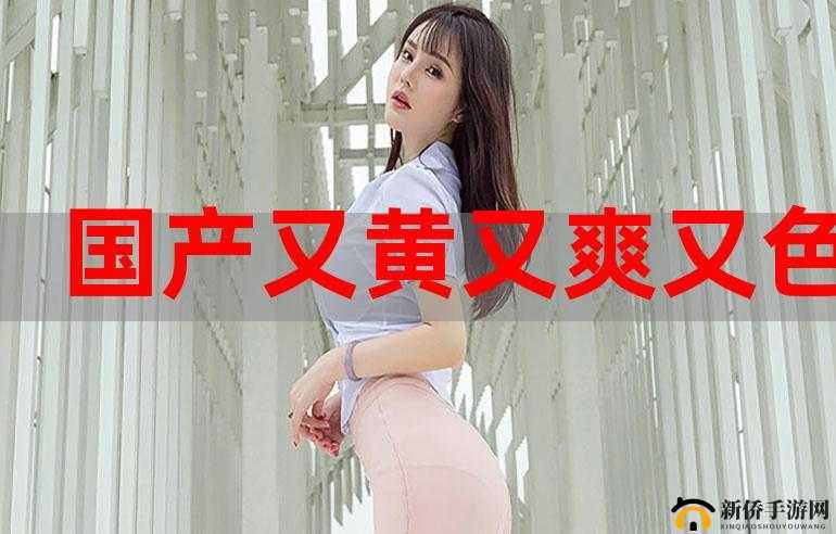 国产又黄又爽刺激的游戏：畅享成人激情世界