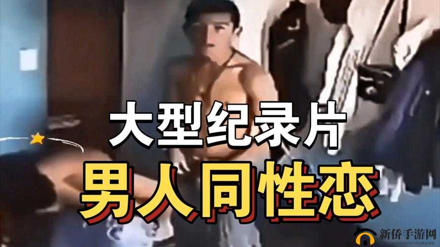 亚洲同志 1069Gay 片：探索别样的情感世界与同性之爱