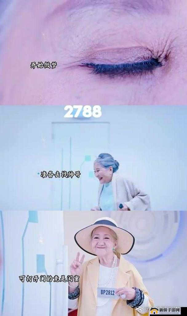 肥胖的老太太：探索年龄与身体的奇妙旅程