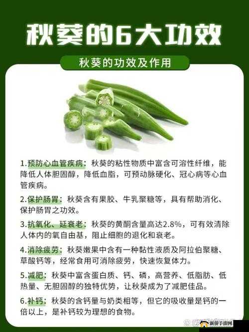 未满十八岁的人能吃秋葵吗：到底可不可以吃呢