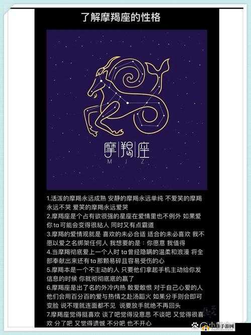 摩羯座，坚韧不拔的精神与卓越智慧的完美结合体象征