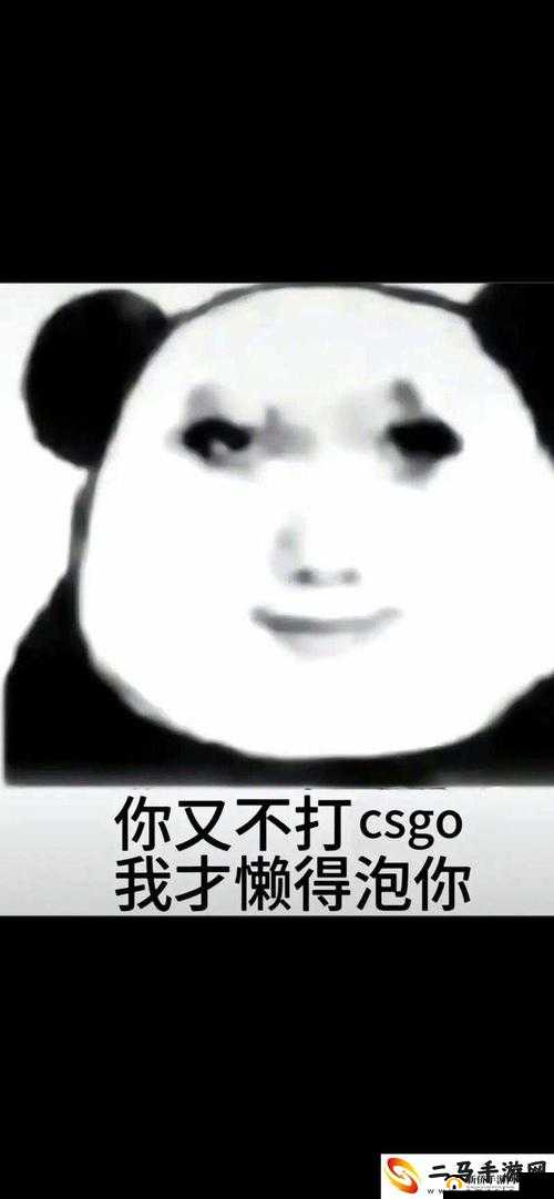 暴躁老姐分享 CSGO 心得：从菜鸟到高手的进阶之路