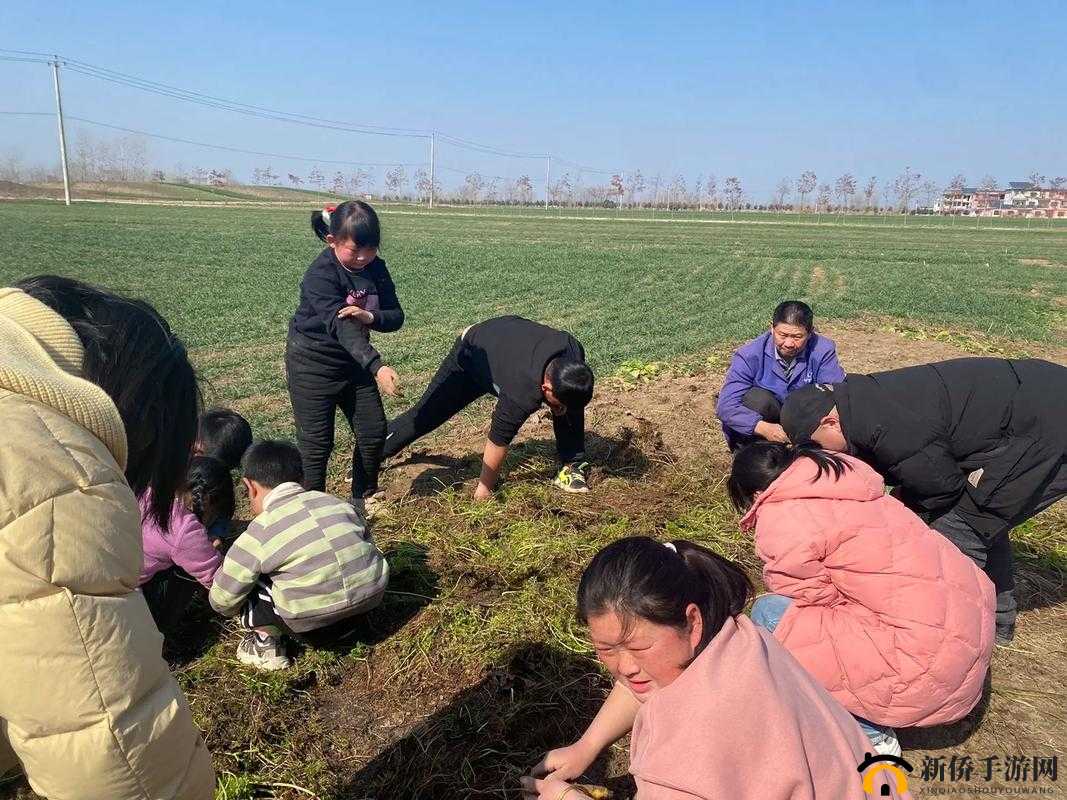 拔萝卜生猴子不盖被子：一段充满趣味与想象的奇妙故事