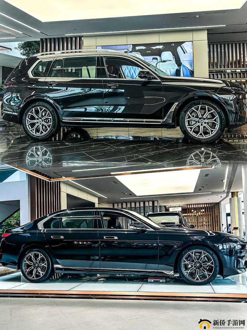 国产与进口 x7x7x7 槽比较-两者具体差异及各自优势分析