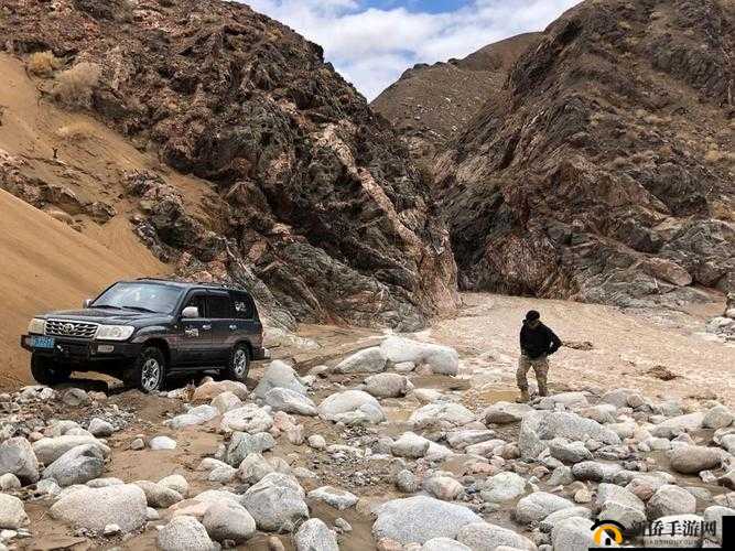 日本无人区码 SUV 探秘：独特车型在荒野的神秘之旅