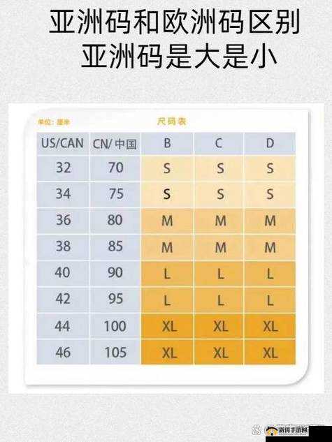 亚洲一码和欧洲二码的尺码区别：深度解析与对比差异